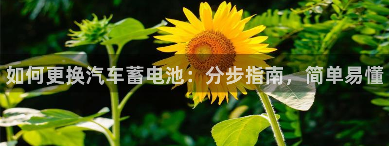 优发国际手机版客户端