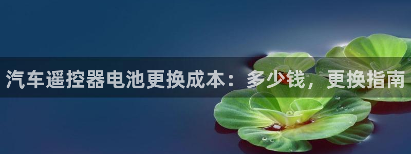 优发国际手机登录下载安装官网