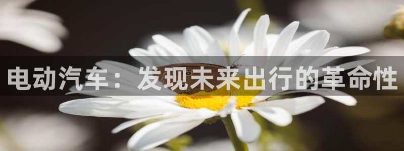 优发国际官网qy88