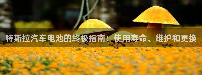 优发国际注册平台怎么样