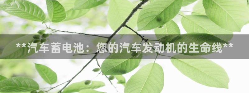 优发国际官网入口app下载苹果