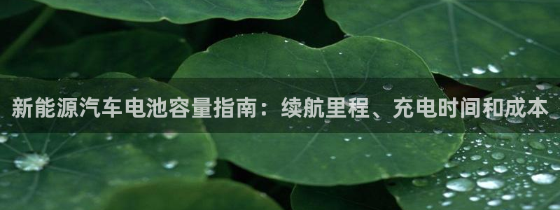 优发国际手机客户端下载安装
