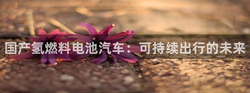 优发国际官网首页