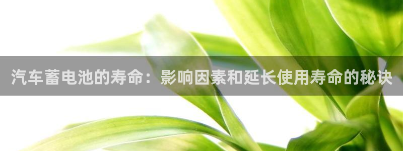 优发国际随优而动一触即发
