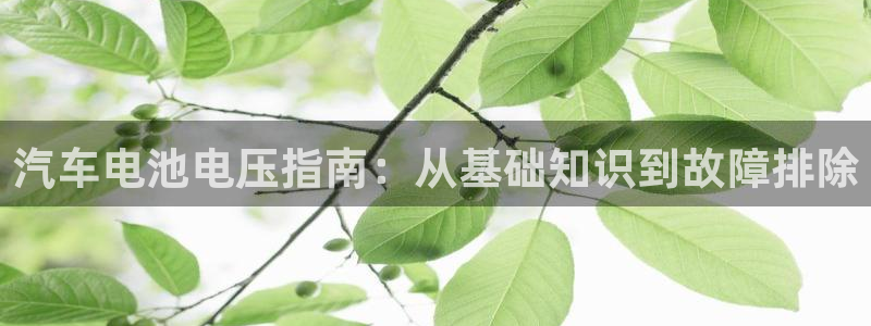 优发国际官网入口app下载