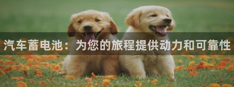 优发国际网官网17w80是什么