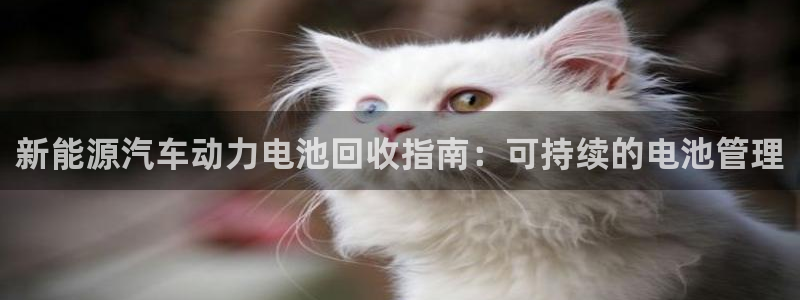 优发国际注册平台是什么