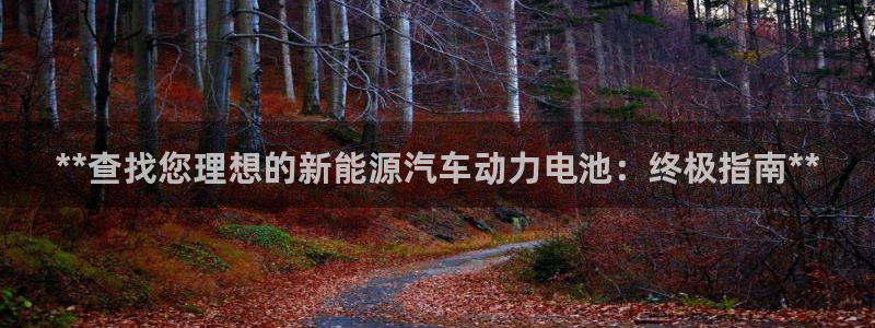 优发国际官方网平台电话