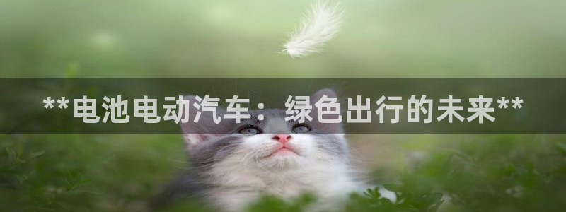 优发国际娱乐官网多少?