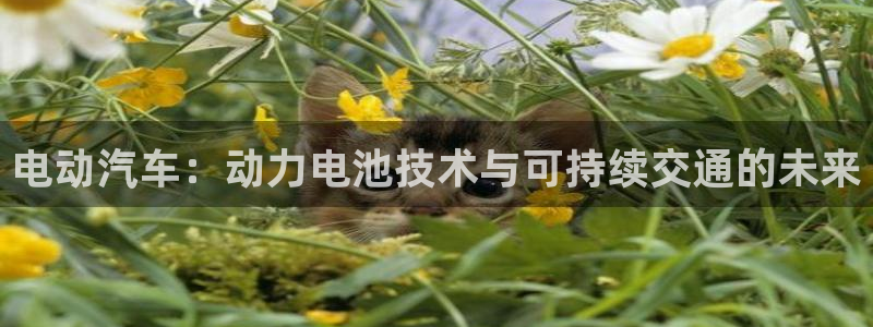 优发国际亚洲平台