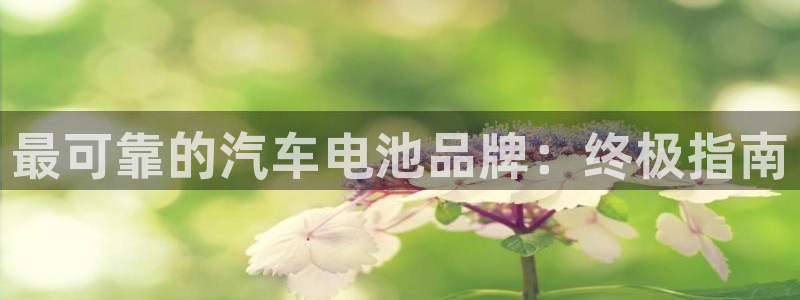 优发国际游戏官网：最可靠的汽车电池品牌：终极指南
