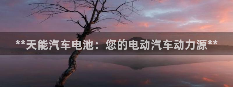 优发国际手机app下载安装