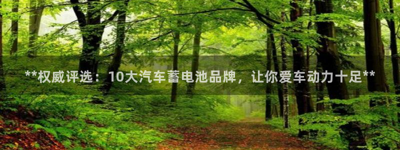 优发国际是大平台吗知乎：**权威评选：10大汽车蓄电池品牌，让你爱车动力十足**