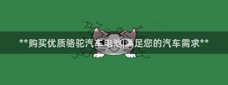 优发国际网页：**购买优质骆驼汽车电池|满足您的汽车需求**