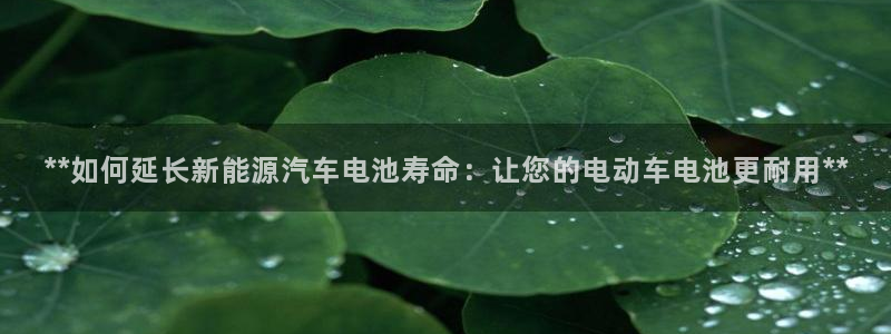 优发国际手机版官网：**如何延长新能源汽车电池寿命：让您的电动车电池更耐用**