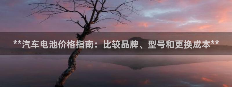 优发国际下载安装app：**汽车电池价格指南：比较品牌、型号和更换成本**