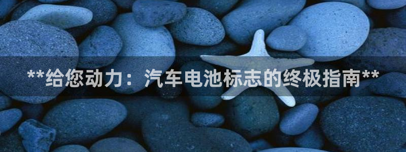 优发国际平台手机版下载安装：**给您动力：汽车电池标志的终极指南**