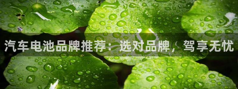 优发国际app登录不了：汽车电池品牌推荐：选对品牌，驾享无忧