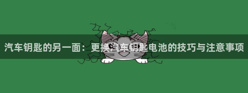 优发国际是大平台吗知乎：汽车钥匙的另一面：更换汽车钥匙电池的技巧与注意事项
