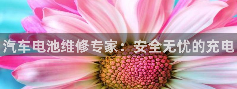 优发国际注册平台：汽车电池维修专家：安全无忧的充电
