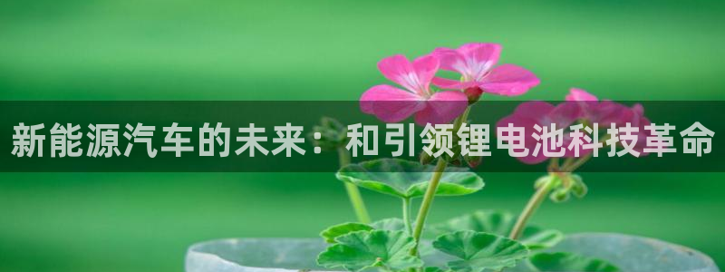 优发国际是真的吗：新能源汽车的未来：和引领锂电池科技革命