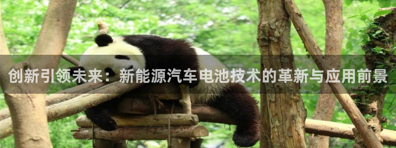 优发国际网站178：创新引领未来：新能源汽车电池技术的革新与应用前景