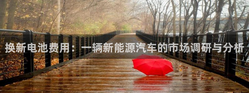 优发国际平台g8怎么样：换新电池费用：一辆新能源汽车的市场调研与分析