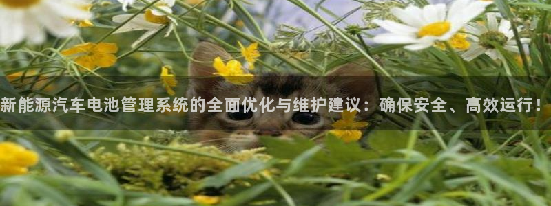 优发国际官网登录：新能源汽车电池管理系统的全面优化与维护建议：确保安全、高效运行！