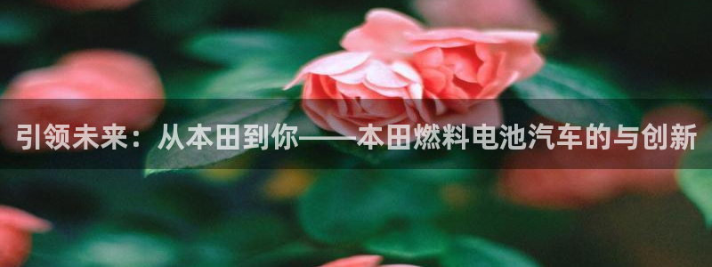 优发娱乐国际线上营业时间：引领未来：从本田到你——本田燃料电池汽车的与创新