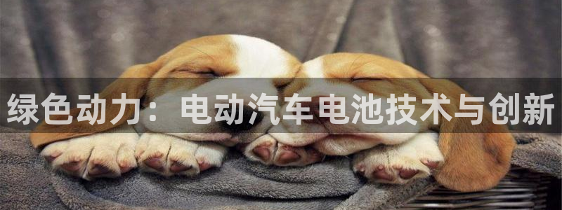 优发国际下载安装app：绿色动力：电动汽车电池技术与创新