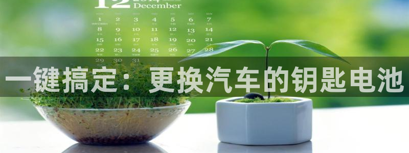 优发国际客服联系方式电话：一键搞定：更换汽车的钥匙电池