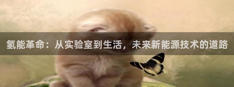 优发国际app官网下载安装苹果手机：氢能革命：从实验室到生活，未来新能源技术的道路