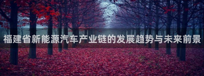 优发国际平台18：福建省新能源汽车产业链