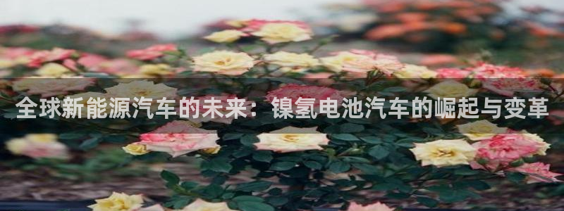 优发国际官方网手机版下载苹果：全球新能源