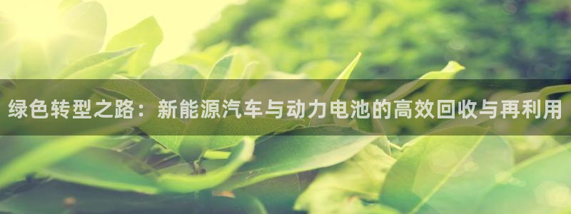 优发国际游戏官方网站入口：绿色转型之路：
