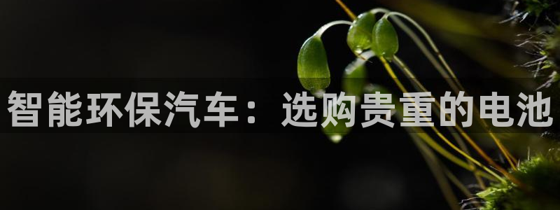 优发国际平台app下载