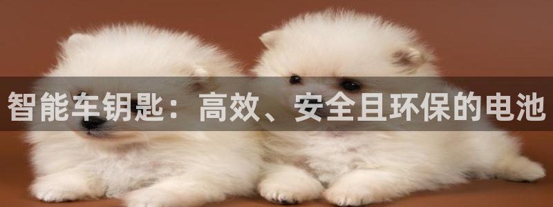 优发国际手机客户端下载不了