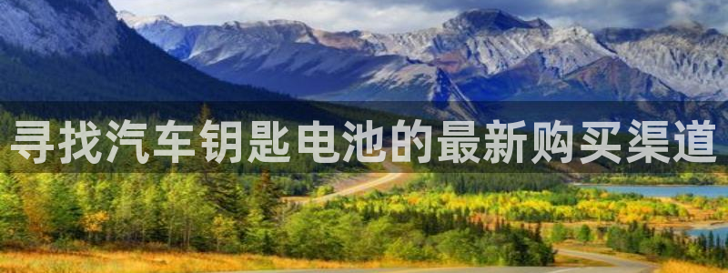 优发国际手机安装登录：寻找汽车钥匙电池的最新购买渠道