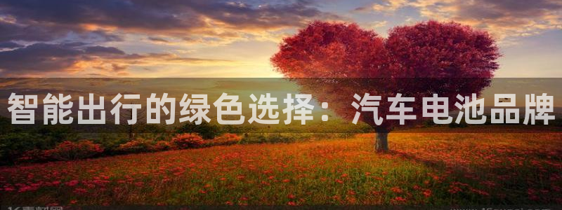 优发国际注册平台：智能出行的绿色选择：汽车电池品牌