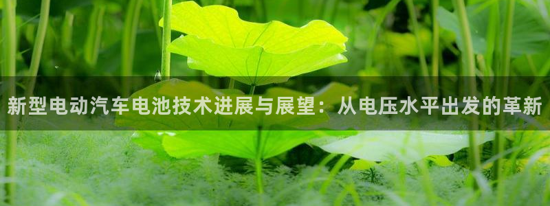 优发国际手机客户端下载