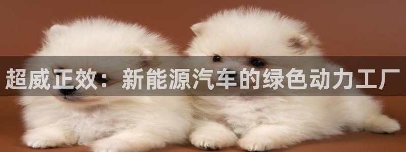 优发国际官方网手机版下载苹果