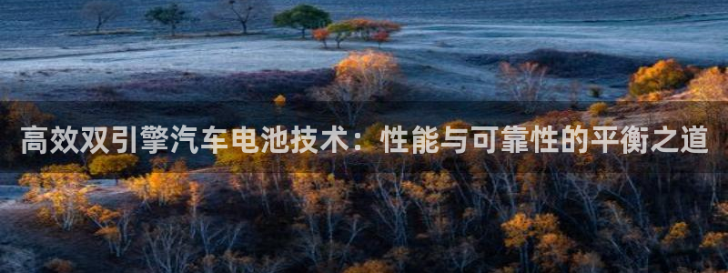 优发国际手机版唯一官网