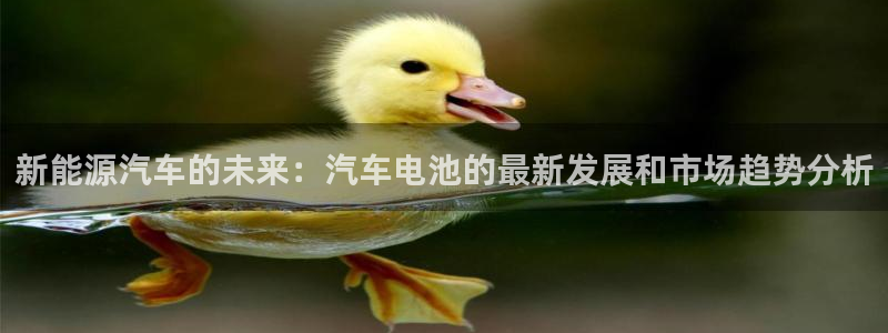 优发国际bob