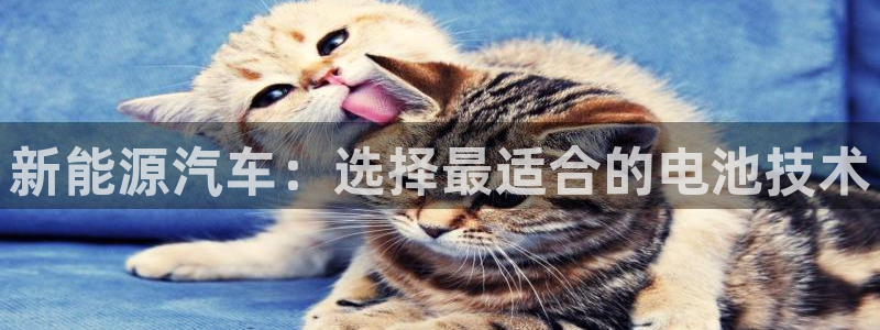 优发国际手机版网站入口
