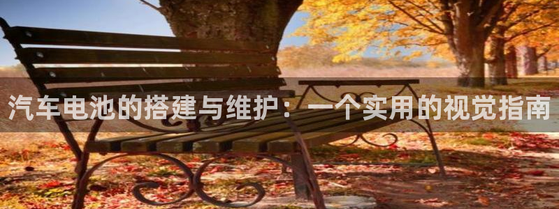 优发国际的官网是什么软件