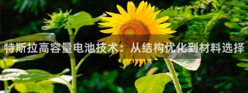 优发国际多少钱：特斯拉高容量电池技术：从结构优化到材料选择
