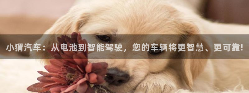 优发国际注册平台：小猬汽车：从电池到智能驾驶，您的车辆将更智慧、更可靠!