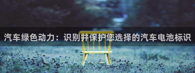 优发娱乐国际线上营业时间：汽车绿色动力：识别并保护您选择的汽车电池标识