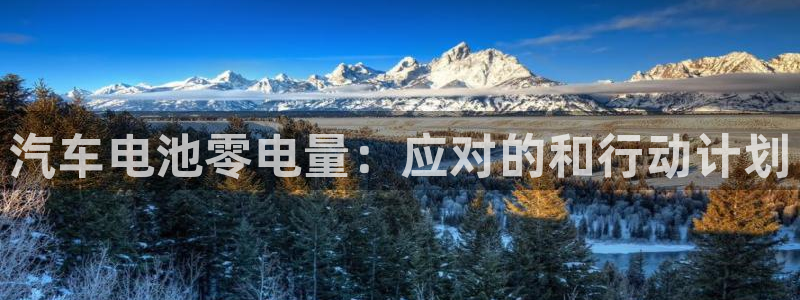 优发国际平台手机版下载安装：汽车电池零电