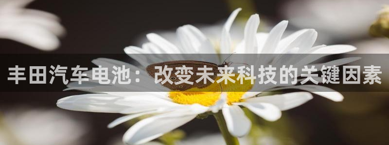 优发国际手机版唯一官网：丰田汽车电池：改变未来科技的关键因素